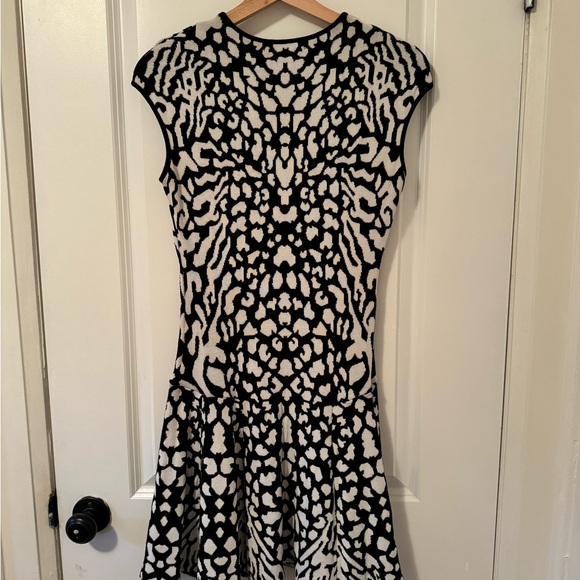 RVN Dress - Picture 2 of 2